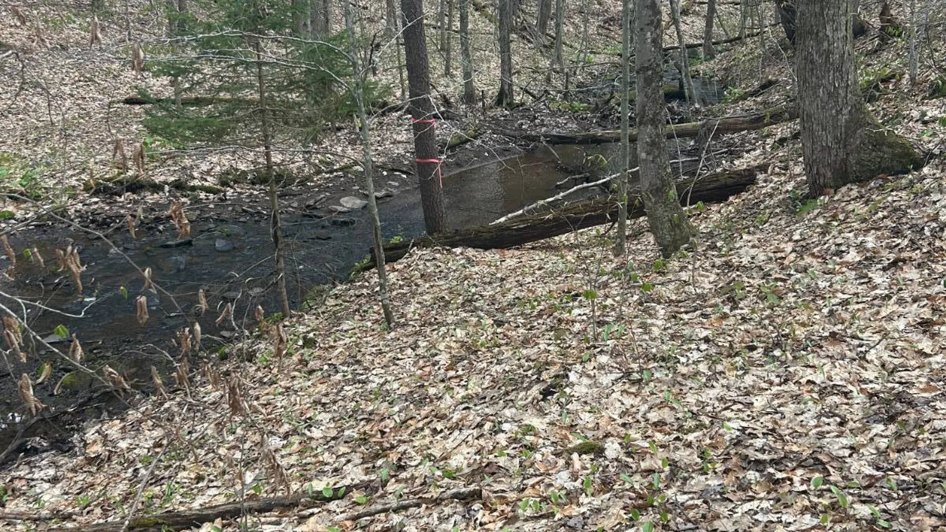 Property at 222 Starr Rd, Otego, NY 13825 35