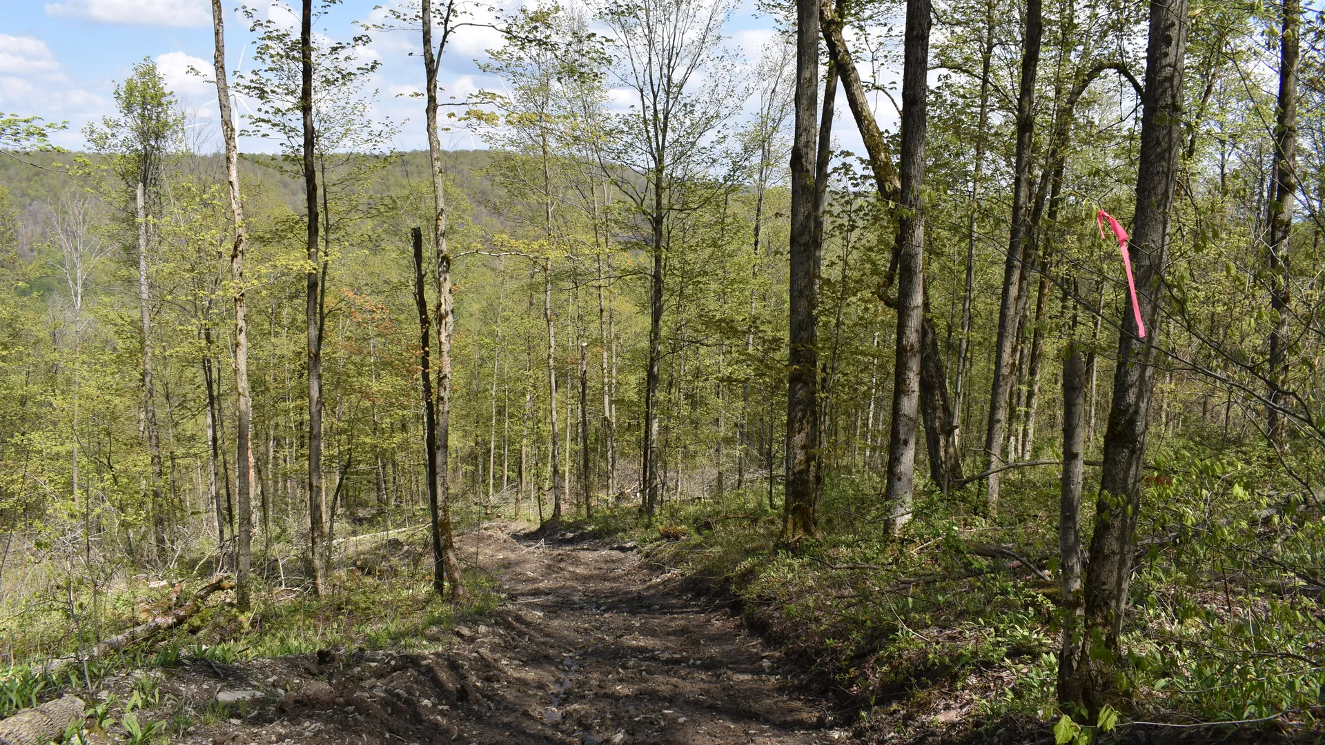 Property at 0 Farrington Hollow Road, Cherry Creek, NY 14723 26