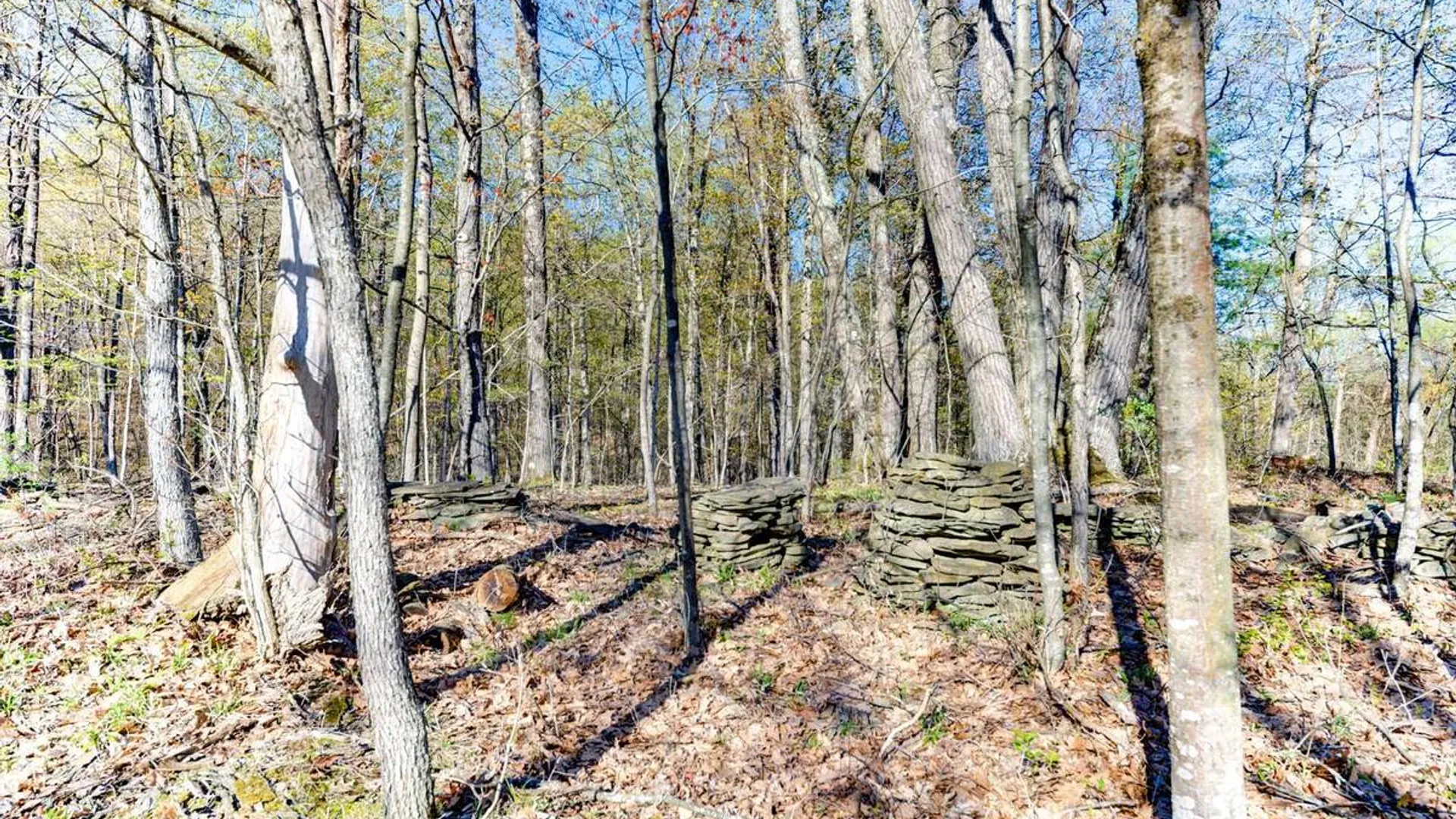 Property at 2933 Schoharie Turnpike, Duanesburg, NY 12053 43