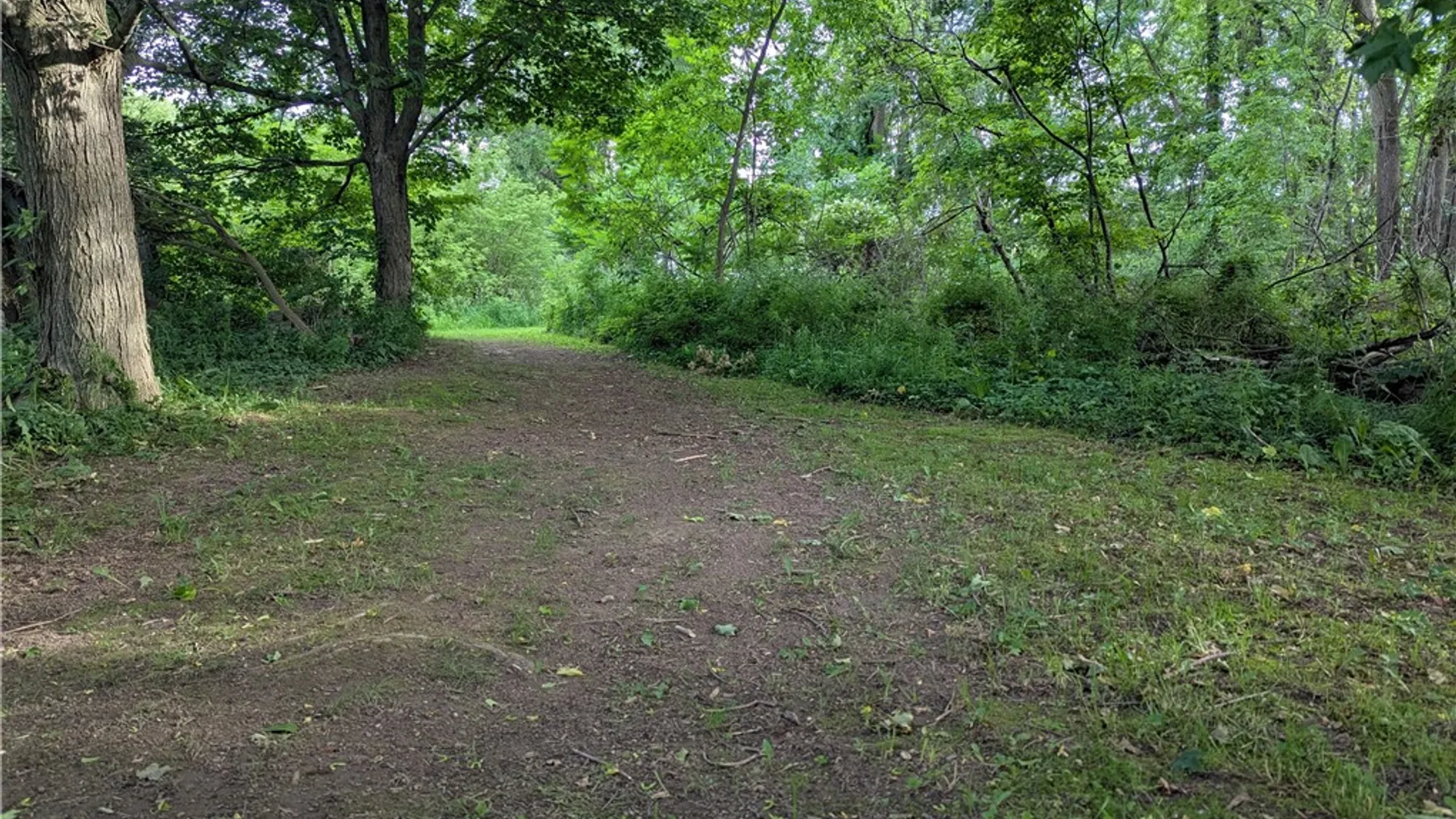 Property at 12252 Porter Rd Road, Ridgeway, NY 14103 19