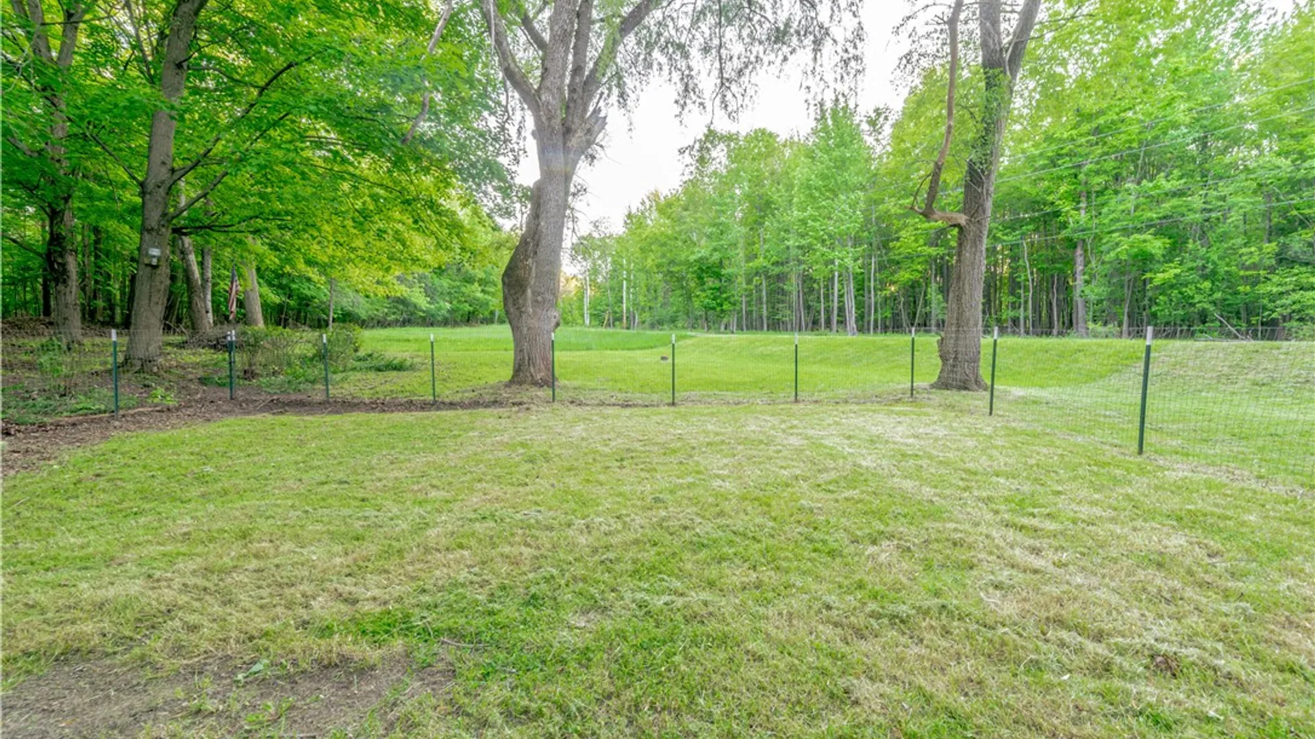 Property at 3530 Reed Road, West Sparta, NY 14437 8