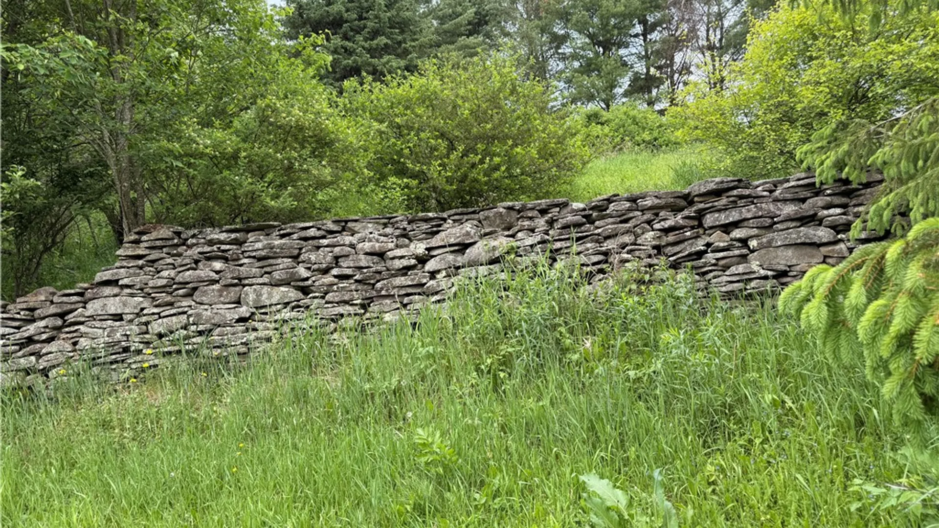 Property at 2149 Weaver Hollow Road, Andes, NY 12455 43