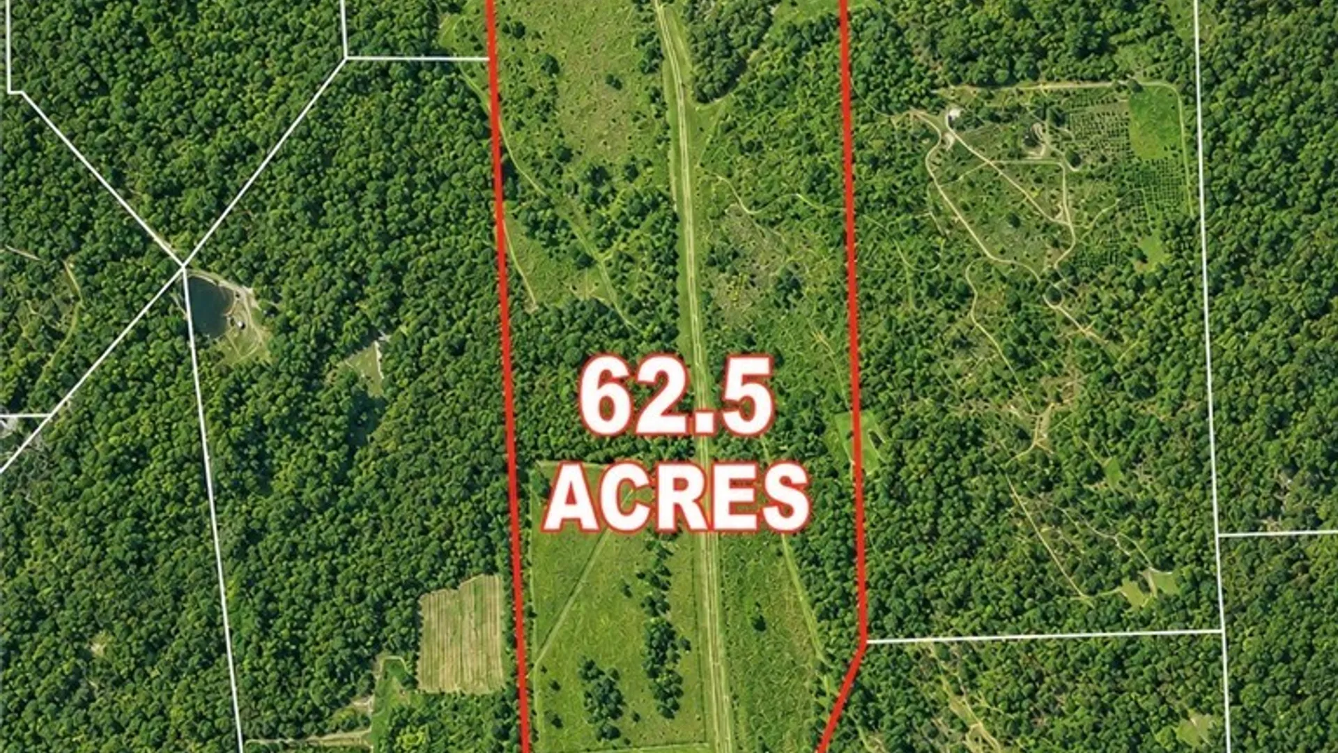 Property at 4071 Argos Road, Nelson, NY 13035 50