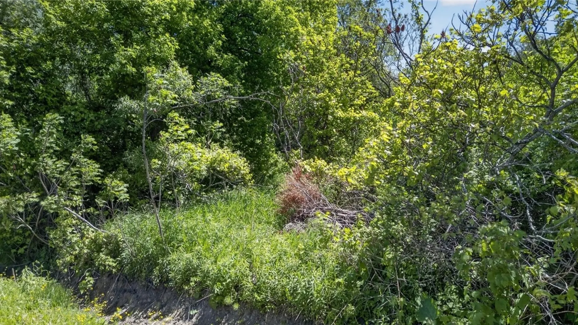 Property at L2.01 Willie Oneil Road, Cherry Valley, NY 13320 20