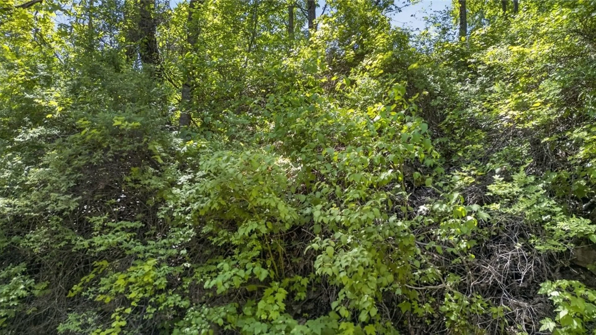 Property at L2.01 Willie Oneil Road, Cherry Valley, NY 13320 24