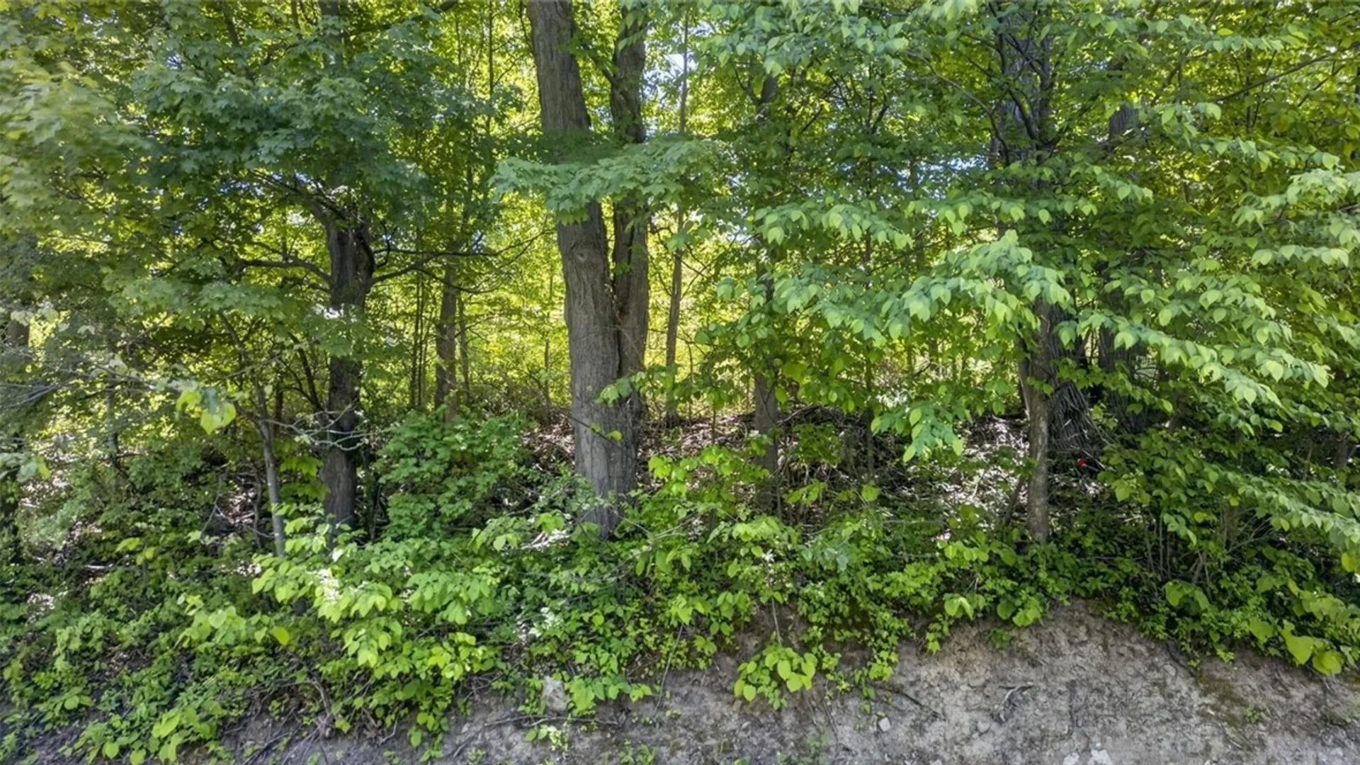 Property at L2.01 Willie Oneil Road, Cherry Valley, NY 13320 26
