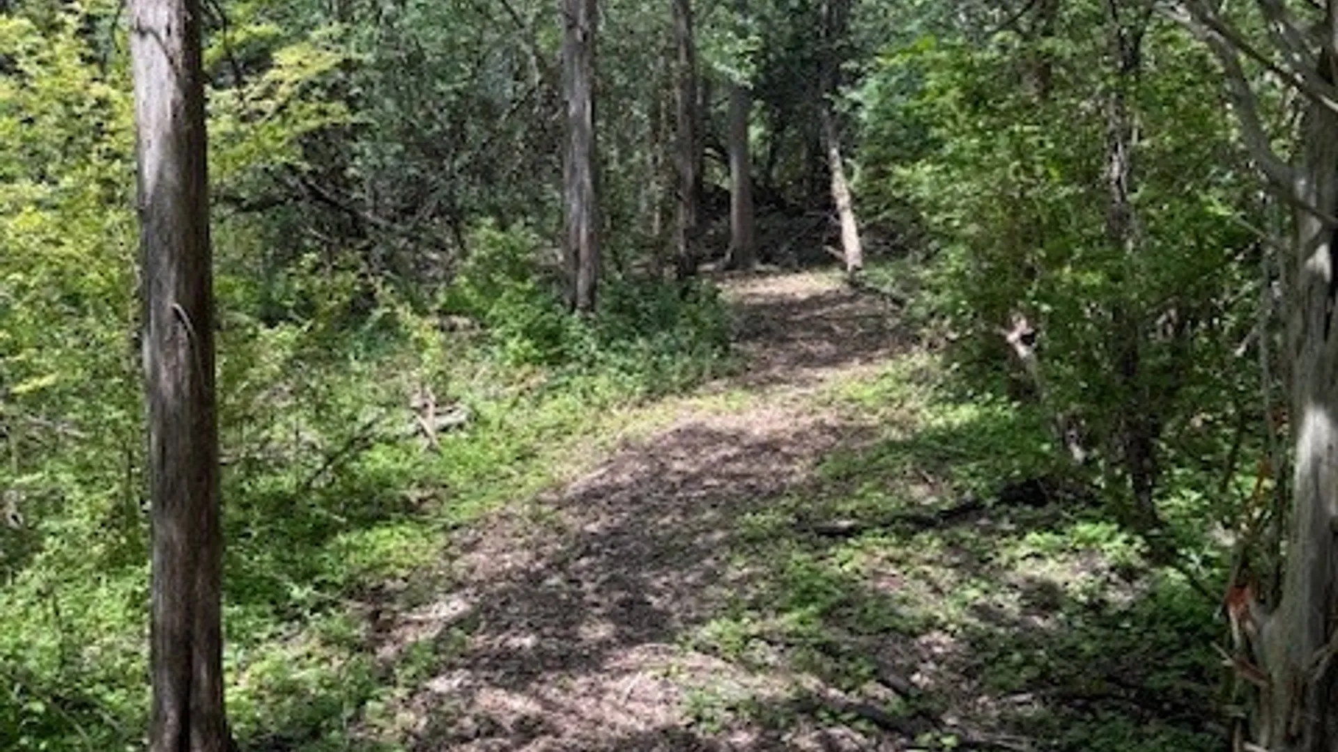 Property at 0 Cayuga Heights Road, Lansing, NY 14850 10