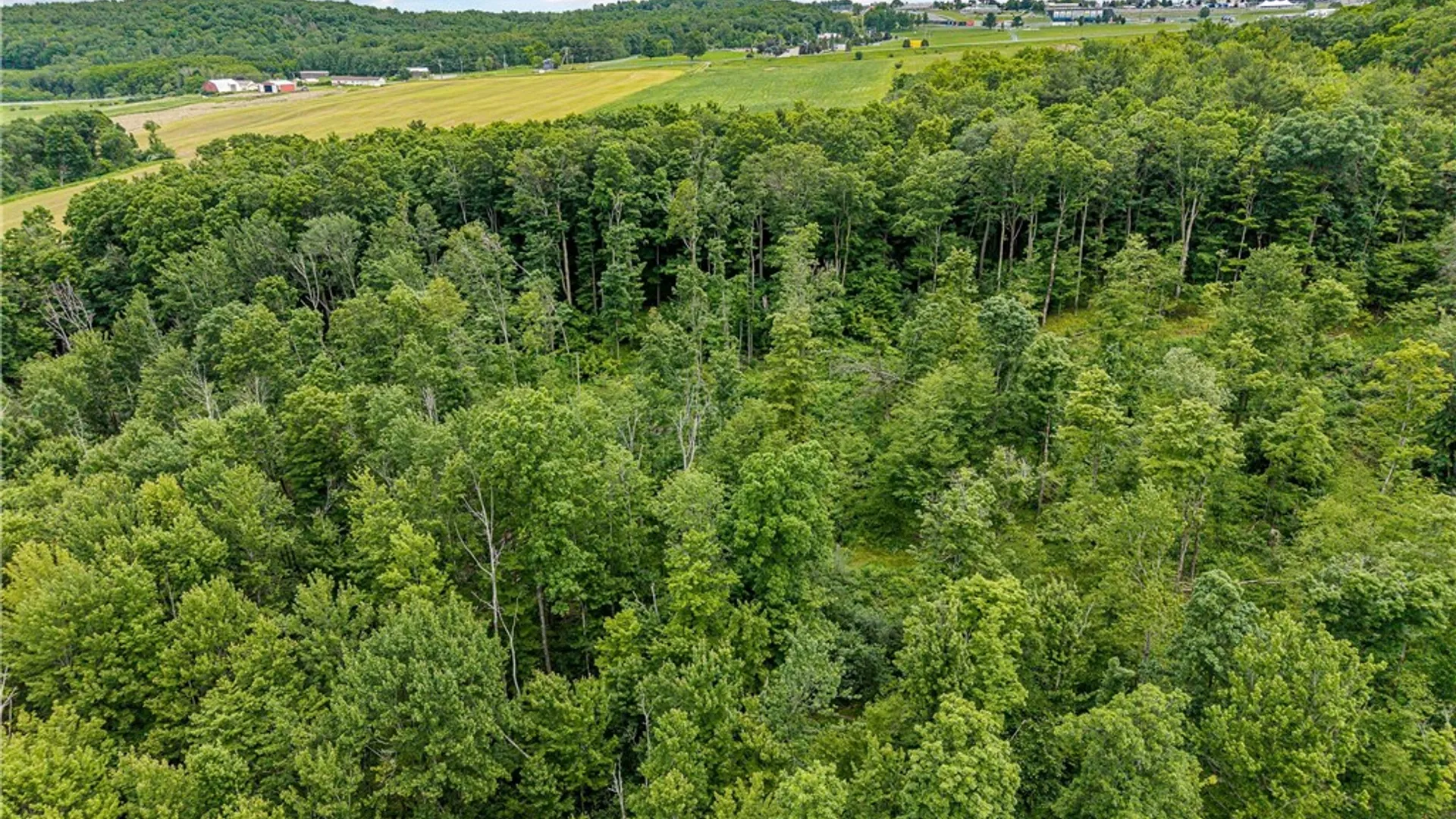 Property at 2868 Townsend Road, Dix, NY 14891 10