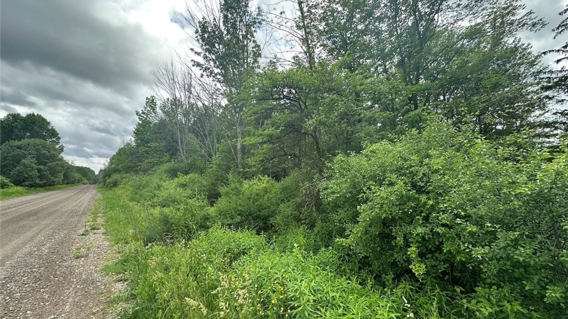 Property at Townline Road, Allen, NY 14709 10