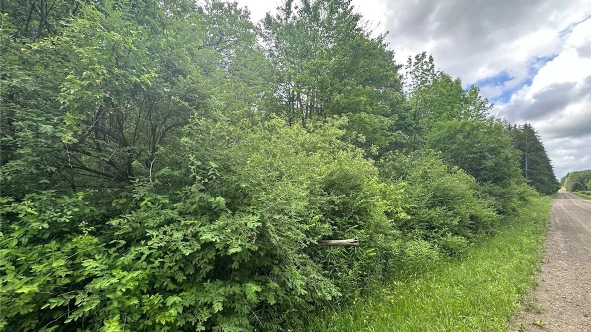 Property at Townline Road, Allen, NY 14709 12