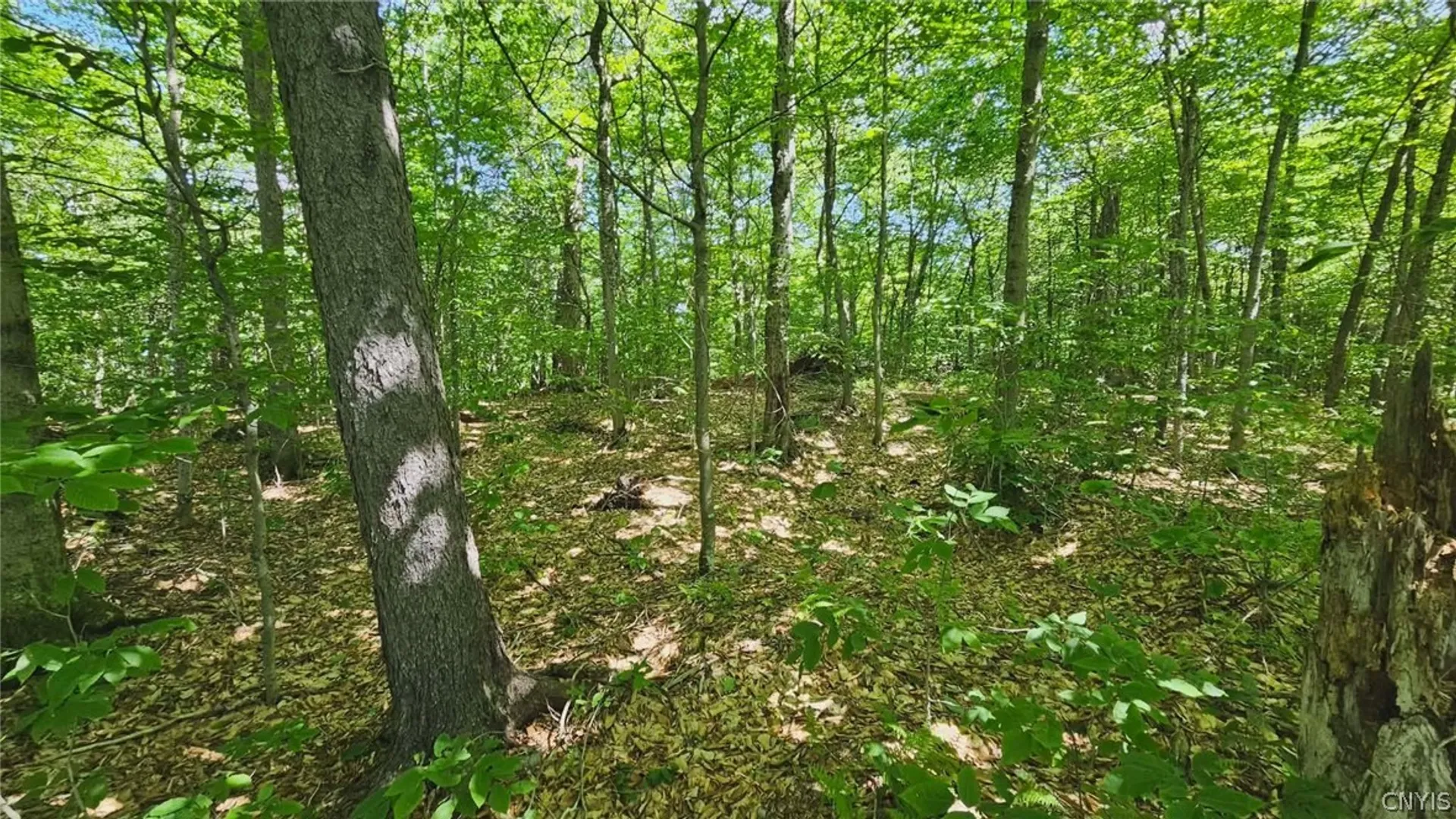 Property at Summit Place, Webb, NY 13420 2