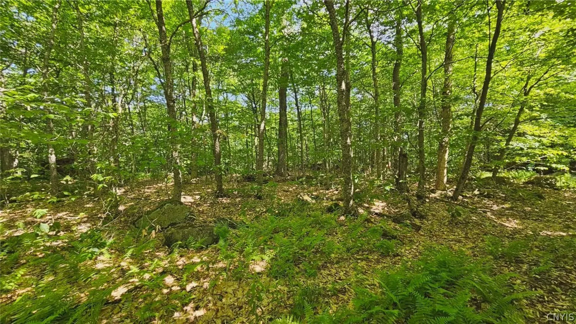 Property at Summit Place, Webb, NY 13420 4