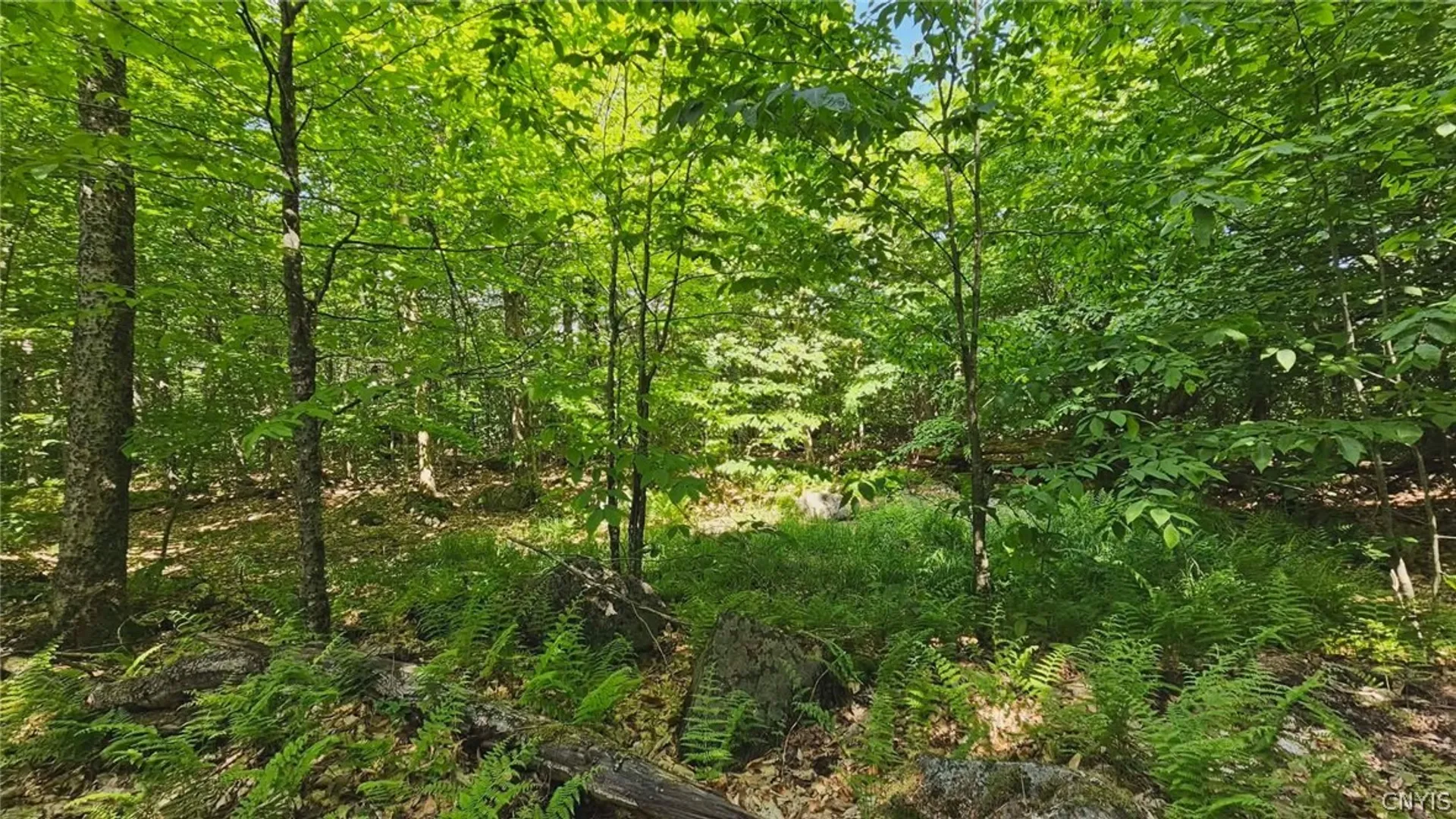 Property at Summit Place, Webb, NY 13420 5