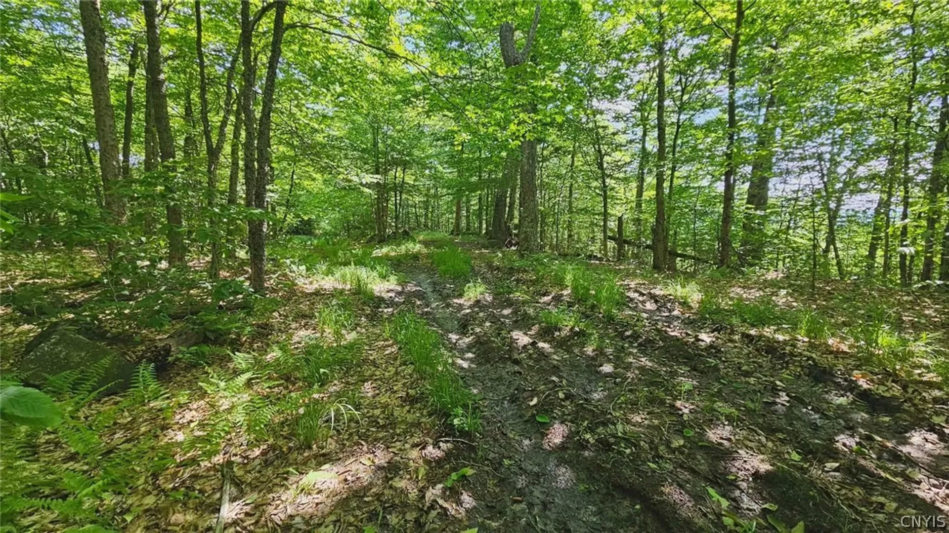 Property at Summit Place, Webb, NY 13420 6