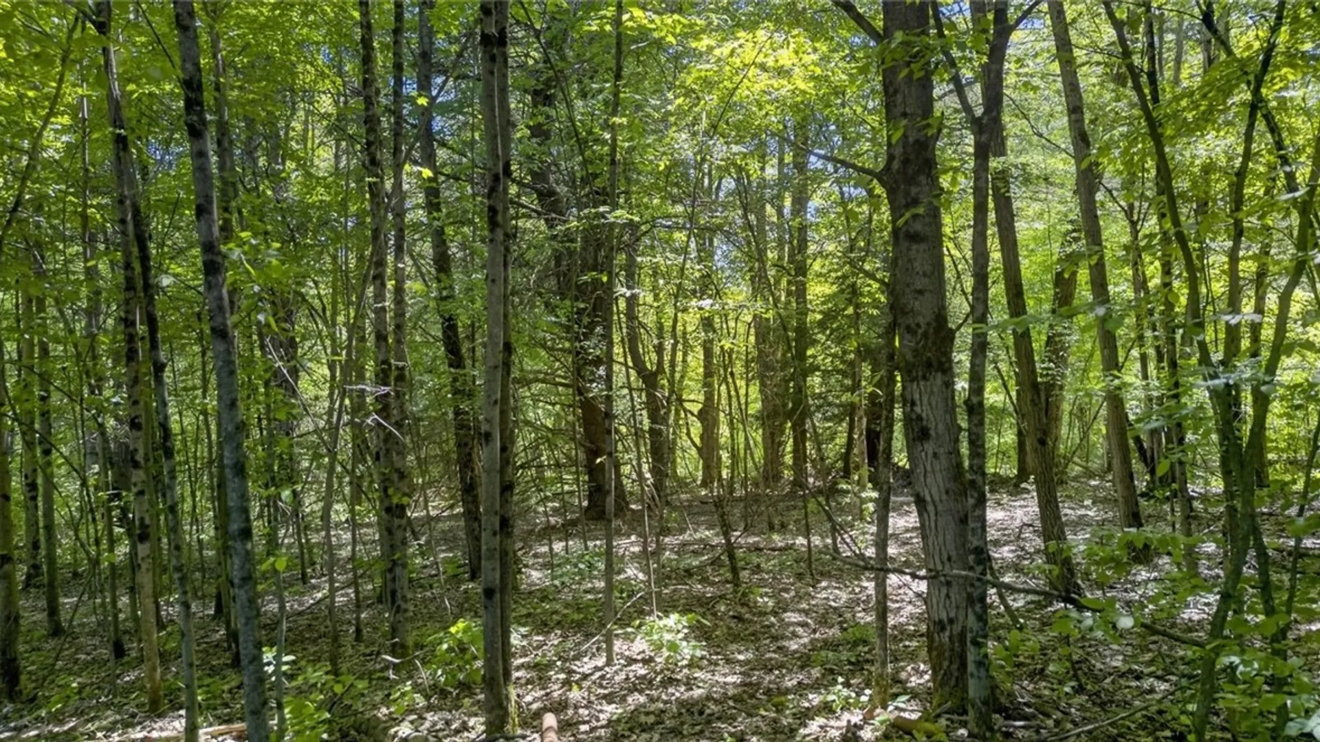 Property at 55 Yarns Road, Colesville, NY 13787 46