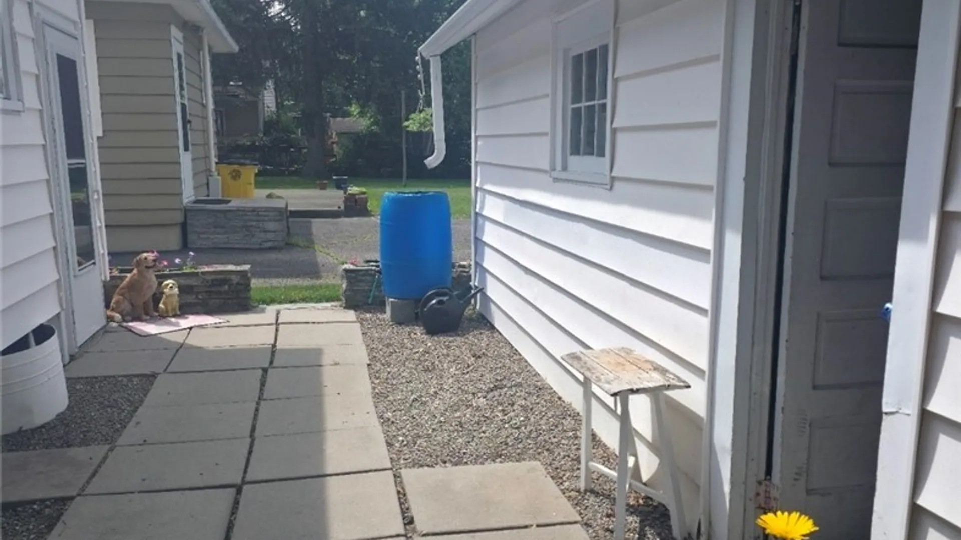 Property at 700 Perine Street, Elmira City, NY 14904 6
