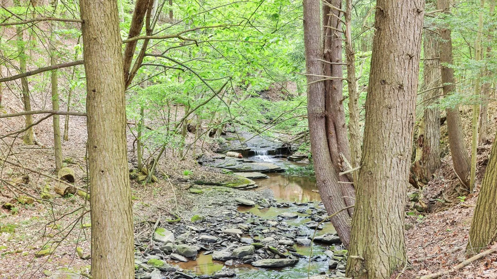 Property at 5 Ravine Park, Oneonta, NY 13820 39