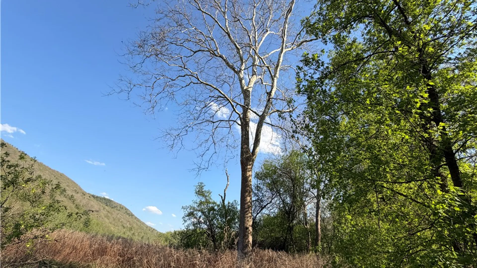 Property at WP 01 County Route 119, Canisteo, NY 14819 10