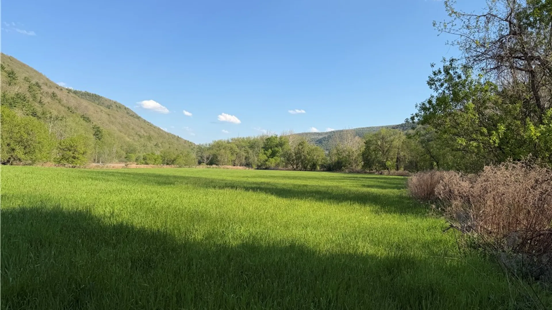 Property at WP 01 County Route 119, Canisteo, NY 14819 11