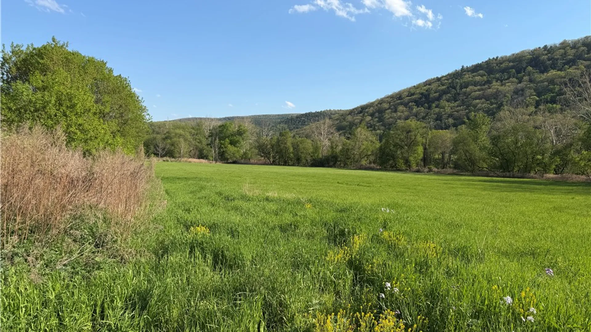 Property at WP 01 County Route 119, Canisteo, NY 14819 4