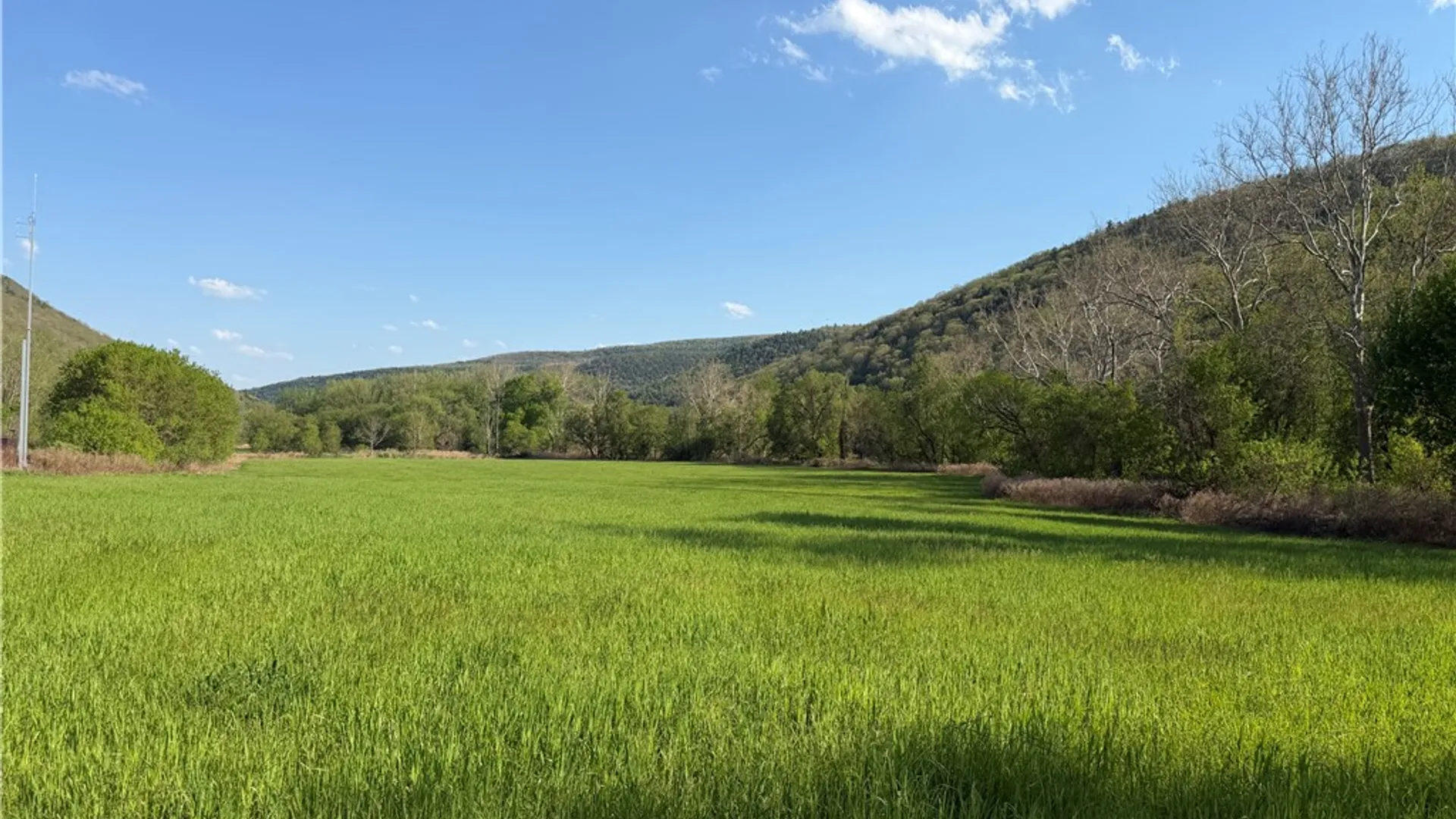 Property at WP 01 County Route 119, Canisteo, NY 14819 7