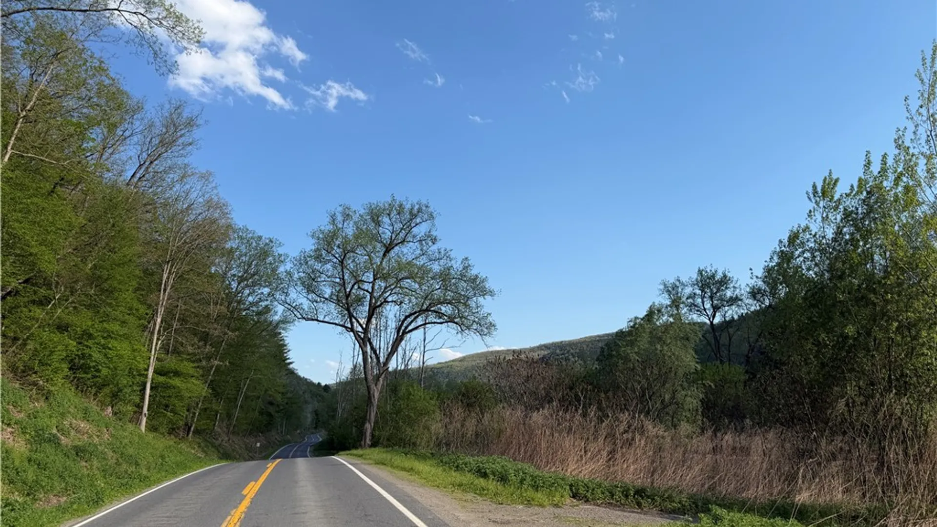 Property at WP Lot02 County Route 119, Canisteo, NY 14819 15