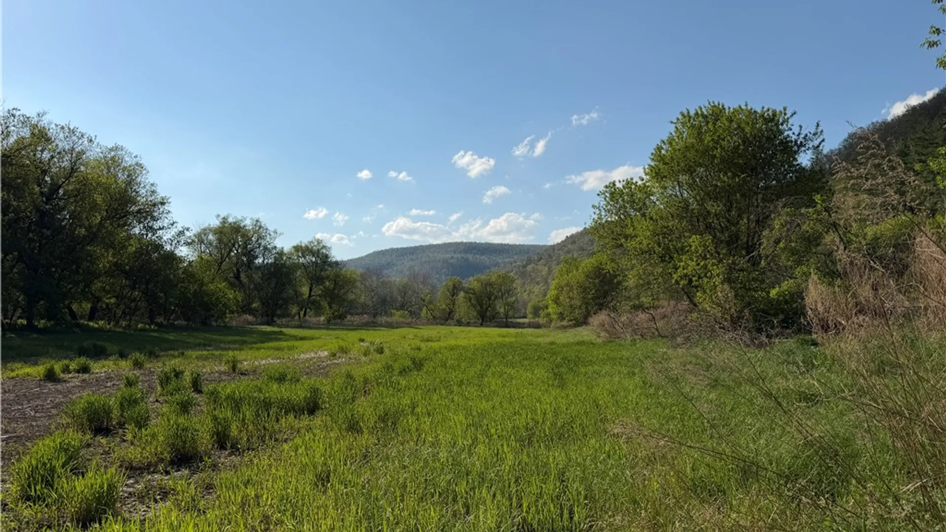 Property at WP Lot02 County Route 119, Canisteo, NY 14819 7