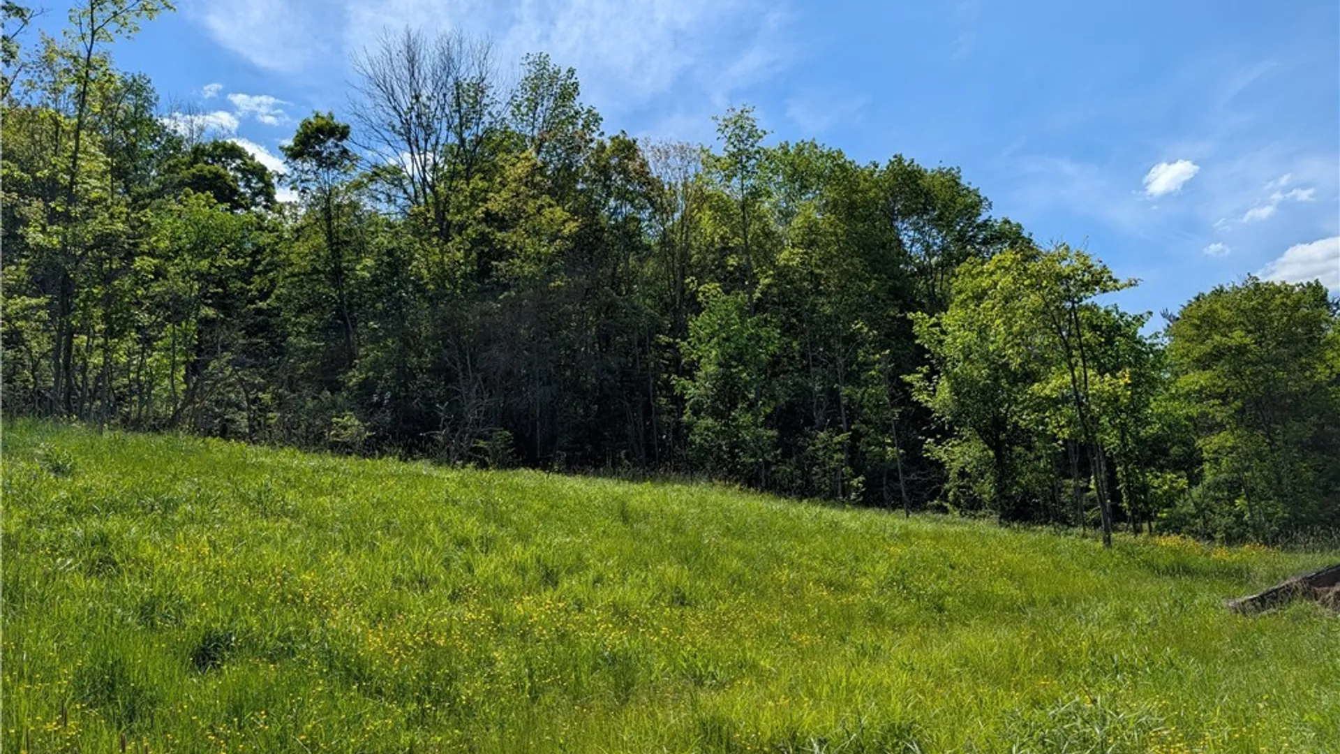 Property at 5499 Bryant Hill Road, Ellicottville, NY 14731 16