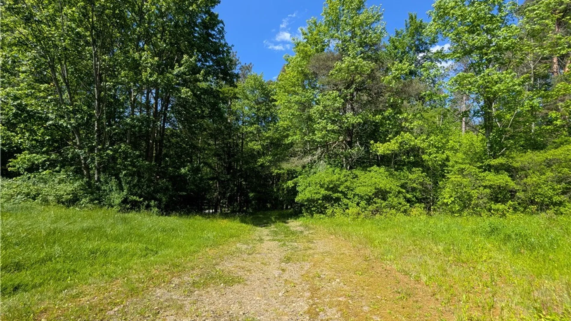 Property at 5499 Bryant Hill Road, Ellicottville, NY 14731 18