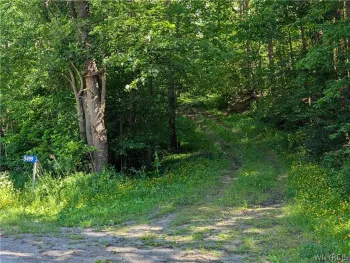 5499 Bryant Hill Road, Ellicottville, NY 14731