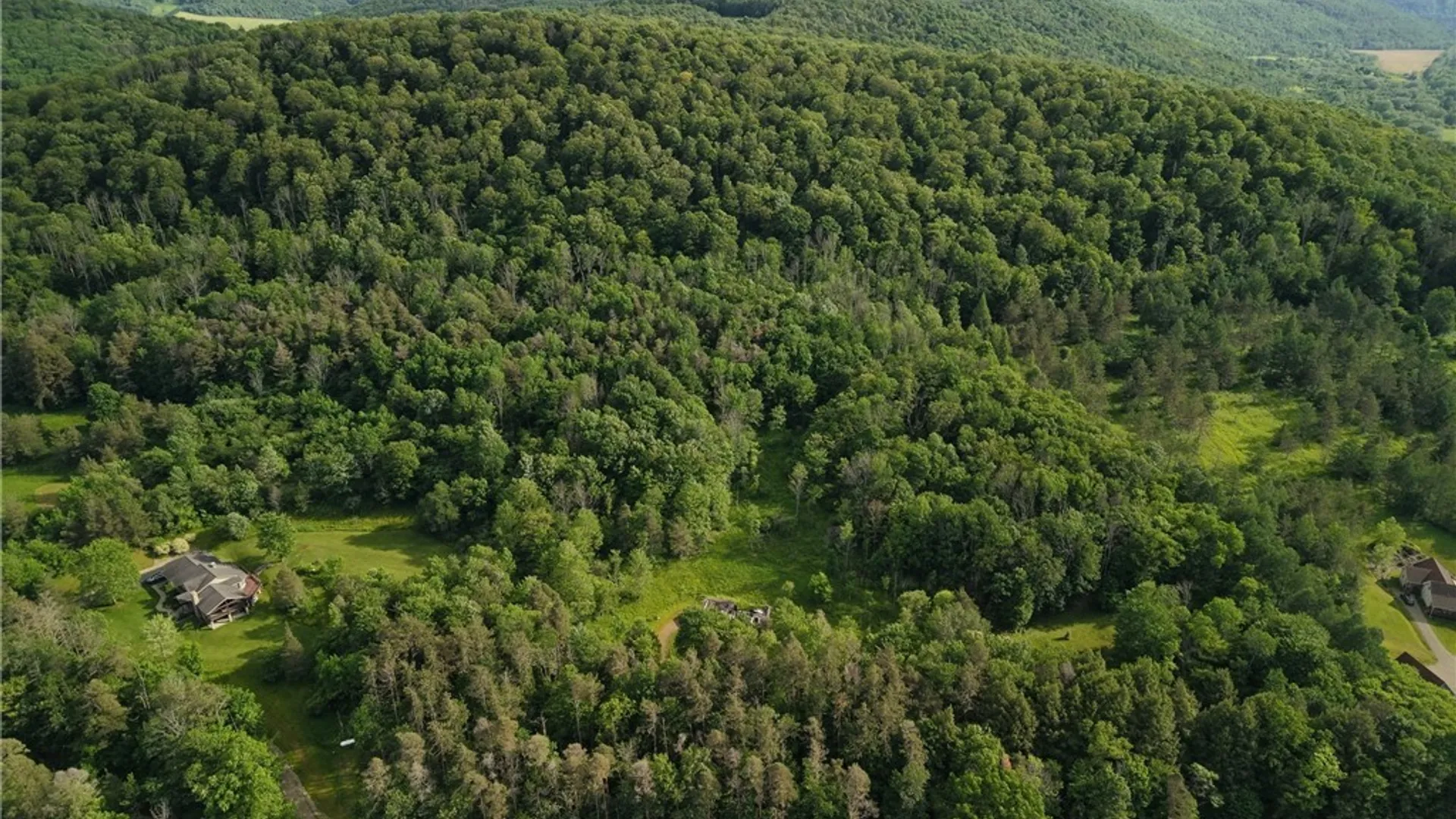 Property at 5499 Bryant Hill Road, Ellicottville, NY 14731 23