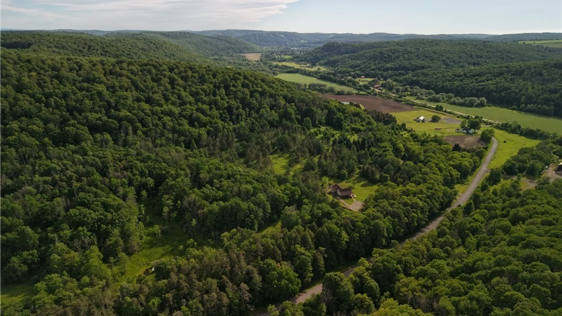 Property at 5499 Bryant Hill Road, Ellicottville, NY 14731 28