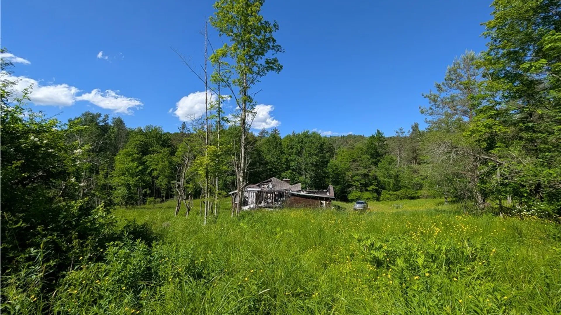 Property at 5499 Bryant Hill Road, Ellicottville, NY 14731 3