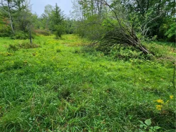 Property at 0 Lot 2 Cortland Rd, Dryden, NY 13053