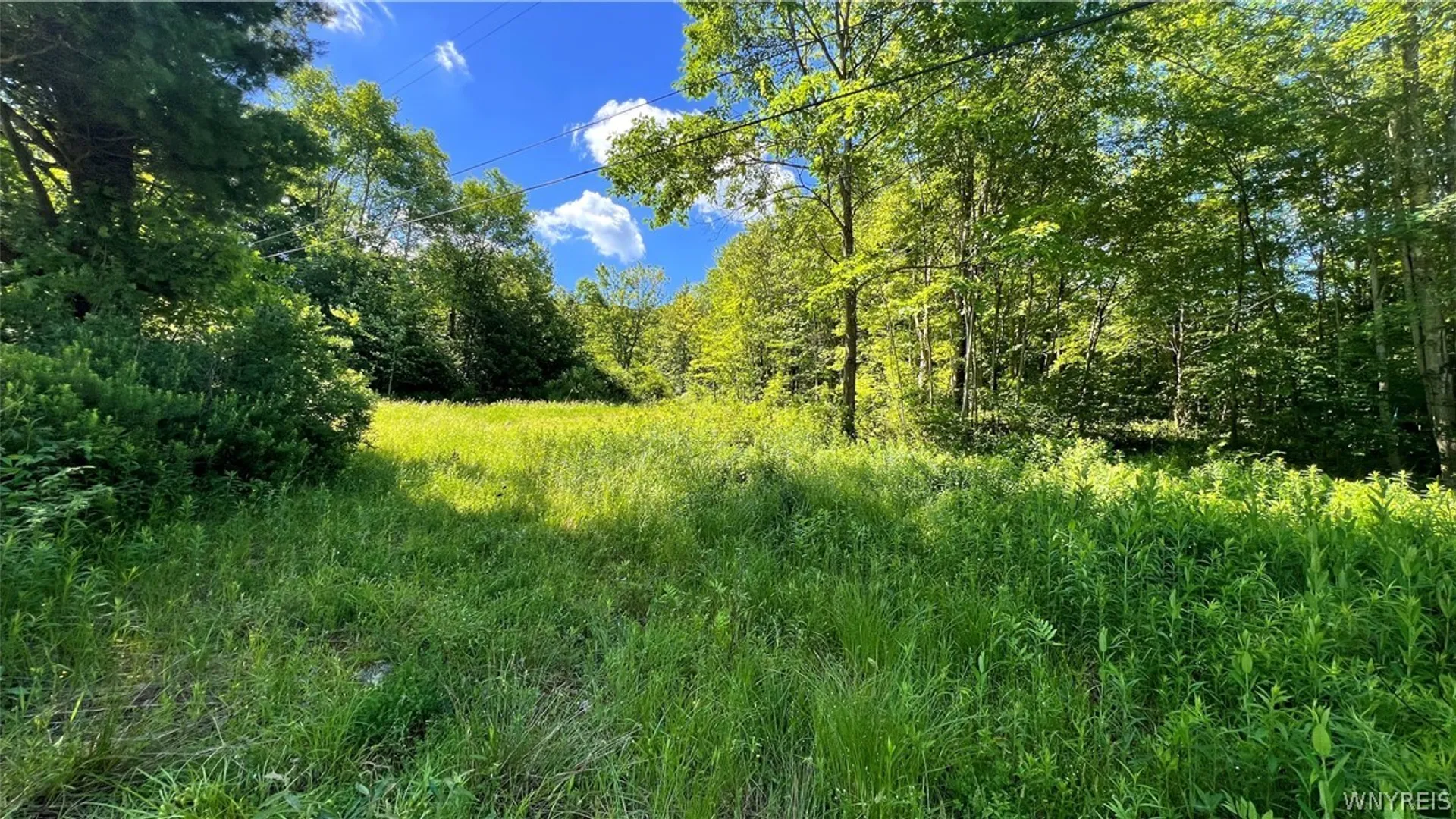 Property at Cherry Valley Road, Allegany, NY 14706 2