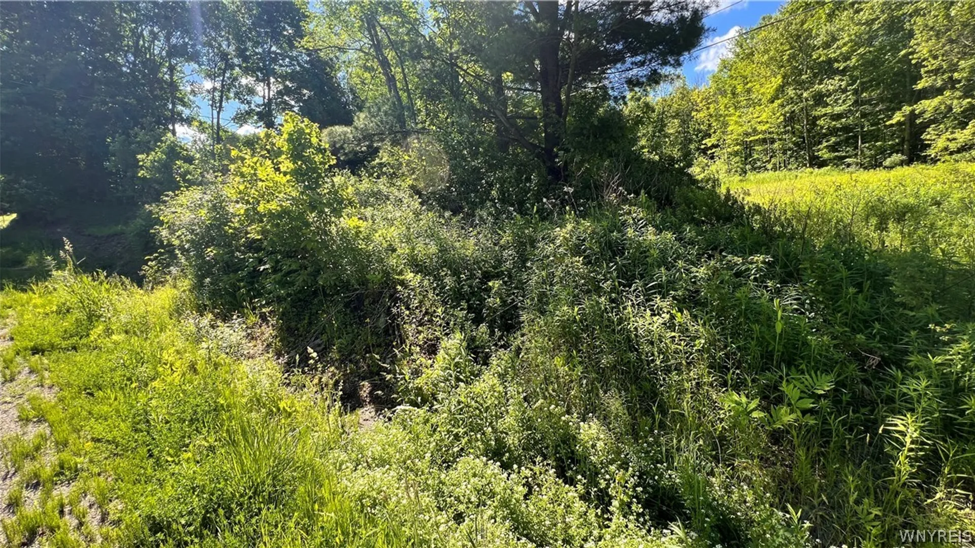 Property at Cherry Valley Road, Allegany, NY 14706 7