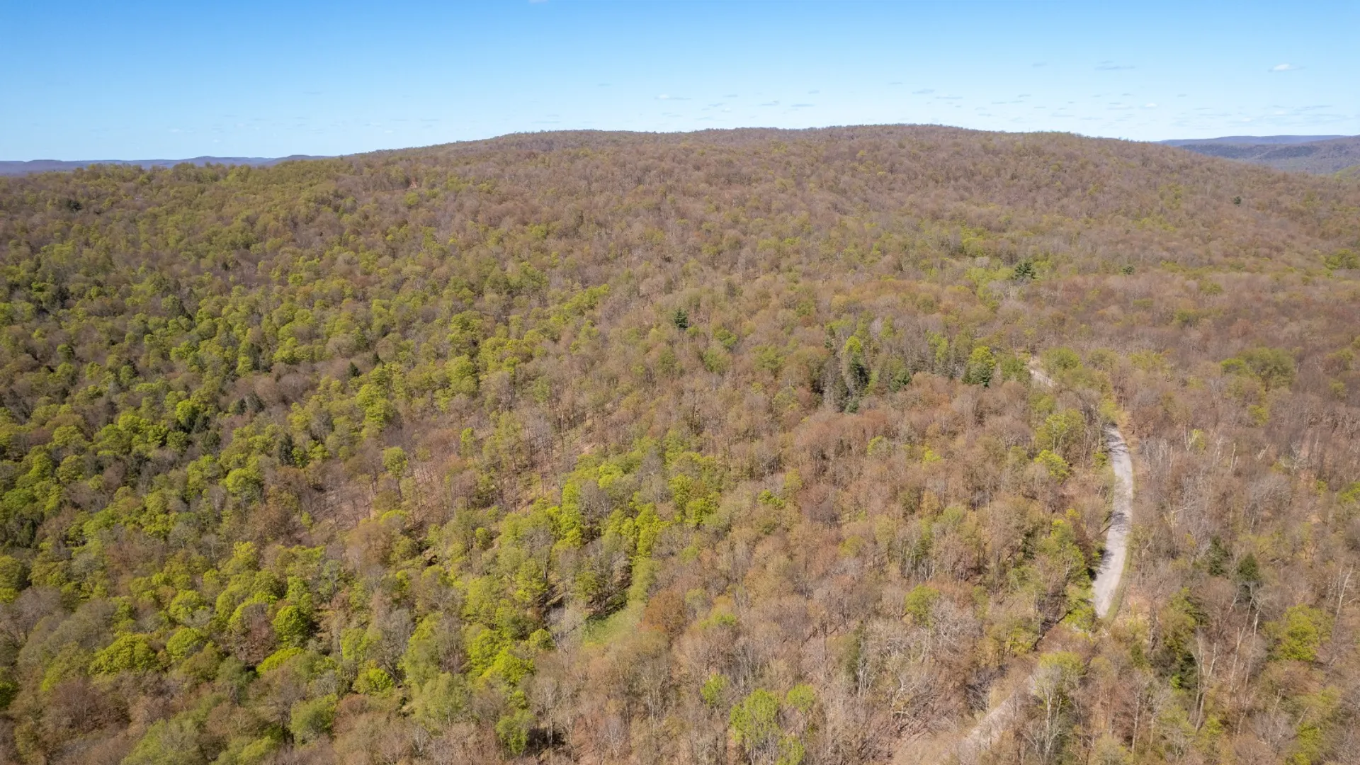 Property at 0 Hathaway Pond Rd, Hancock, NY 13783 2