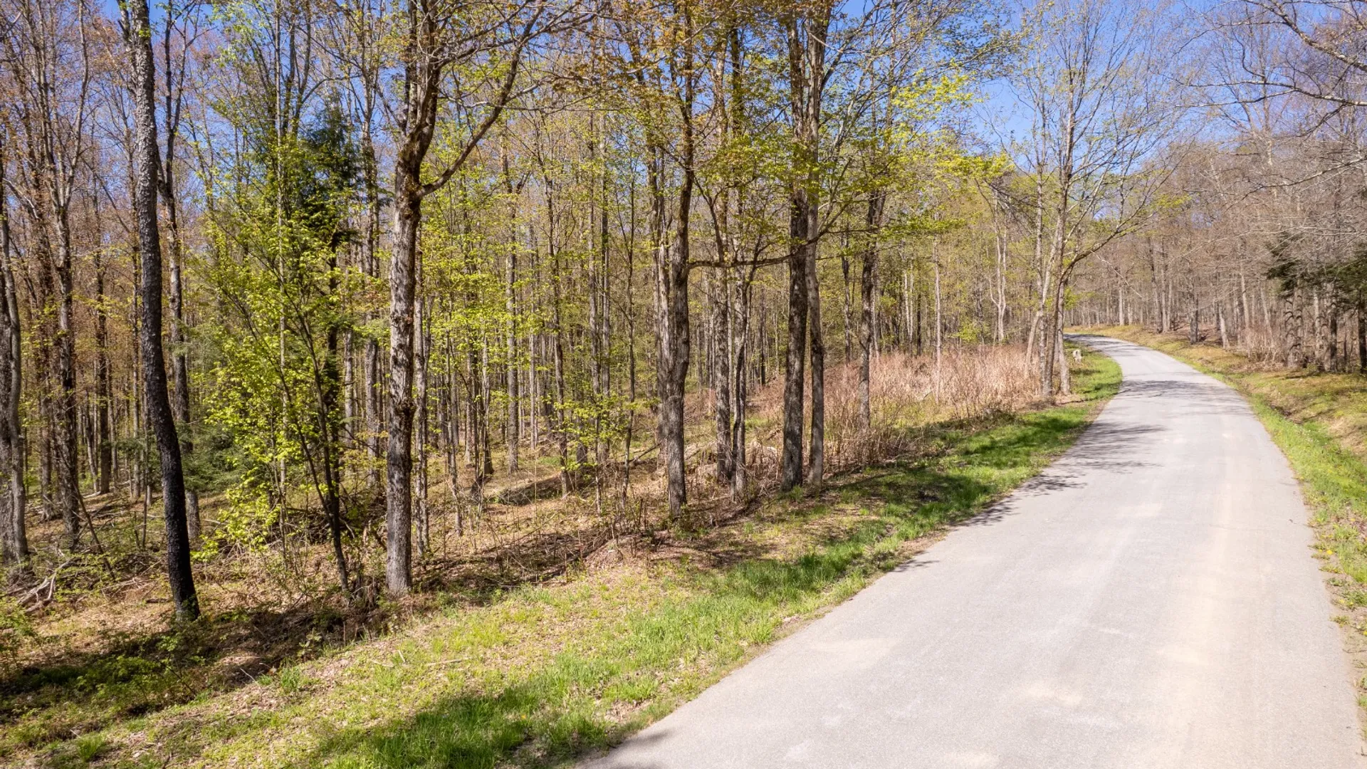 Property at 0 Hathaway Pond Rd, Hancock, NY 13783 26