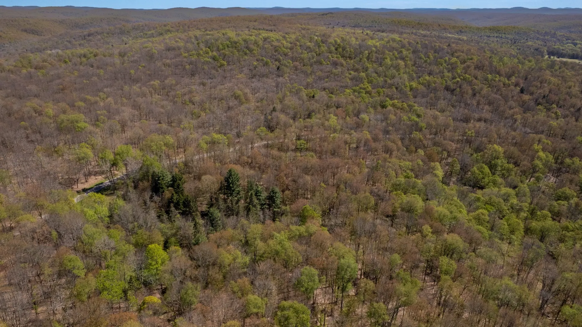 Property at 0 Hathaway Pond Rd, Hancock, NY 13783 8