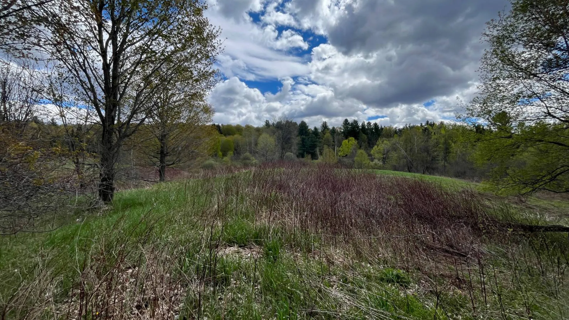 Property at 00 Hatch Rd, Russell, NY 13652 17