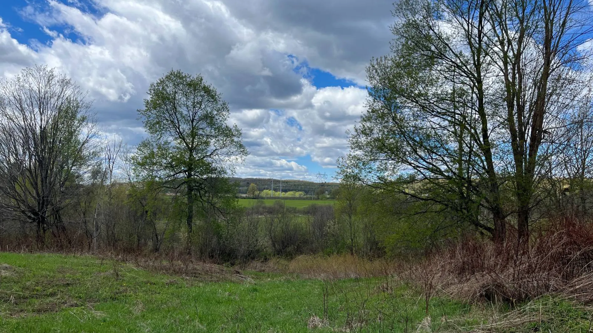 Property at 00 Hatch Rd, Russell, NY 13652 18