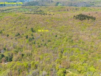 Property at Sanly Road, Franklin, NY 13839