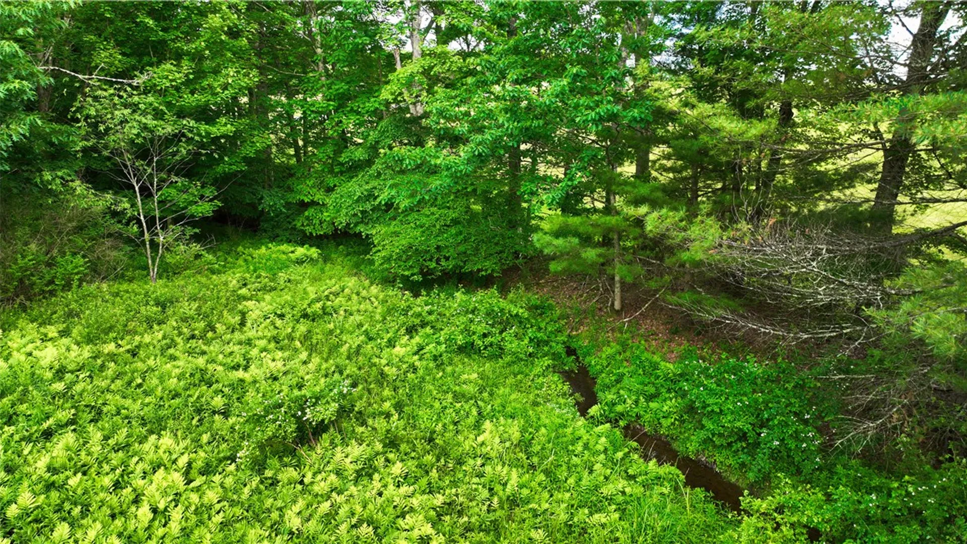 Property at Case Road, Bainbridge, NY 13733 13