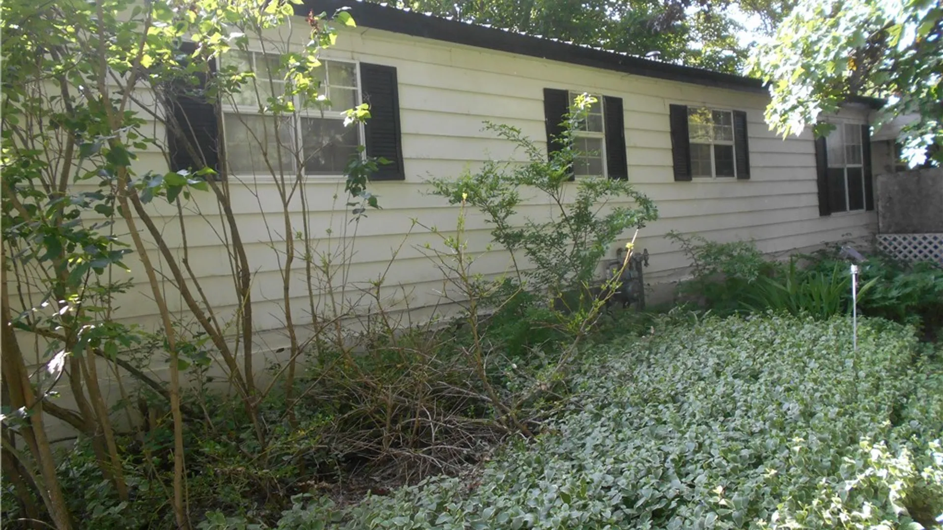 Property at 15 Sunset Drive, Machias, NY 14042 13