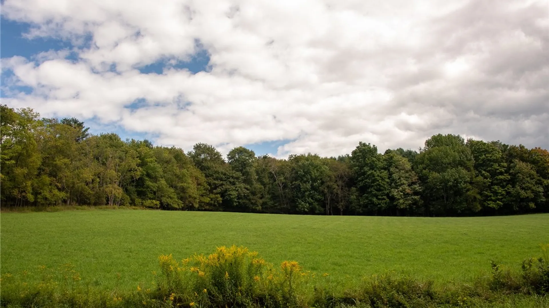 Property at 22 Stone House Road, Kortright, NY 13739 10