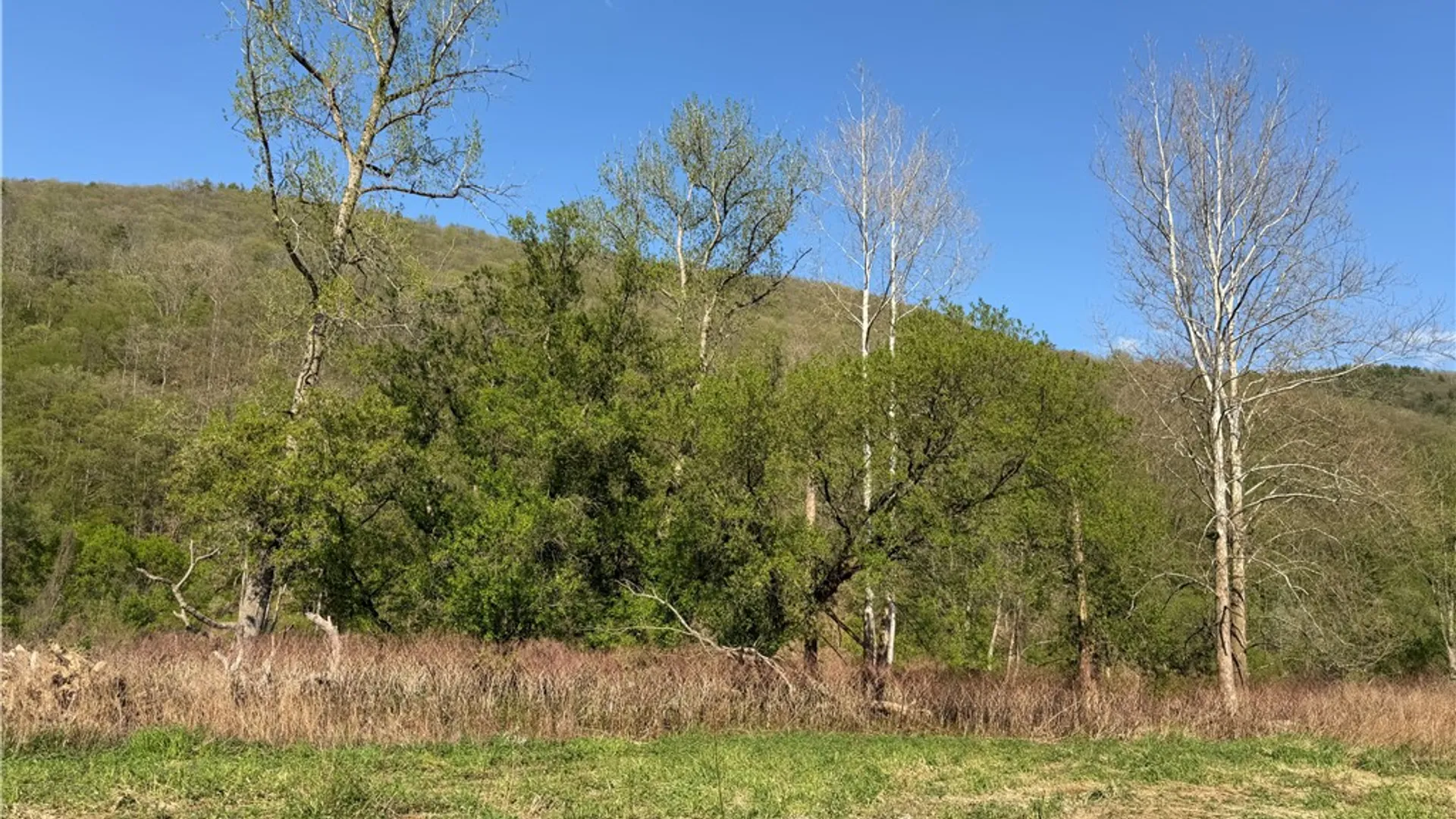 Property at Lot 3 McChesney Rd, Canisteo, NY 14819 10