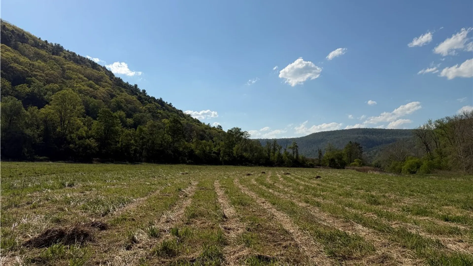 Property at Lot 3 McChesney Rd, Canisteo, NY 14819 11