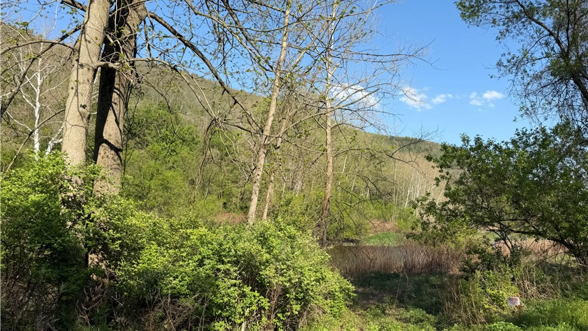 Property at Lot 3 McChesney Rd, Canisteo, NY 14819 6