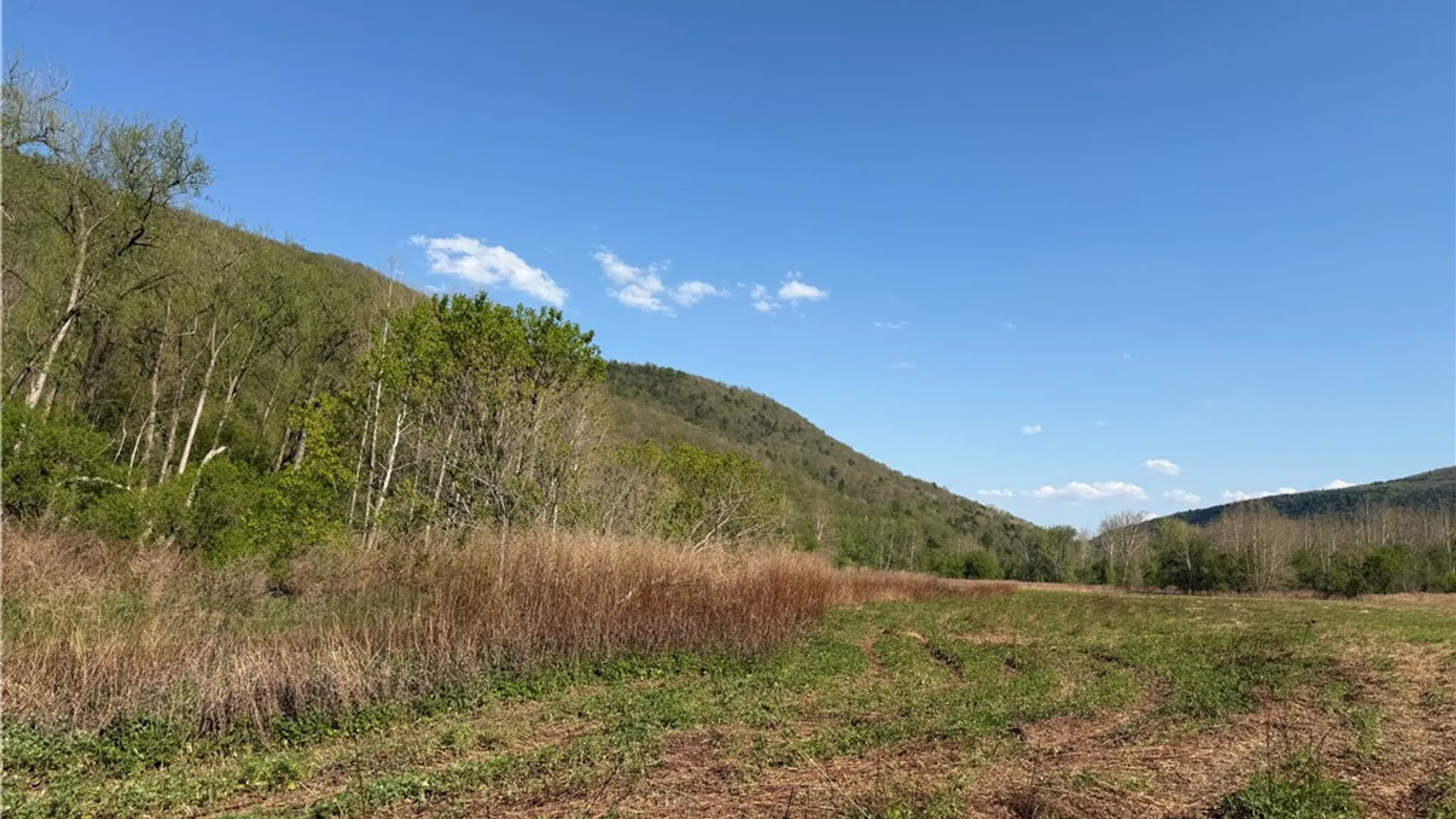 Property at Lot 3 McChesney Rd, Canisteo, NY 14819 7
