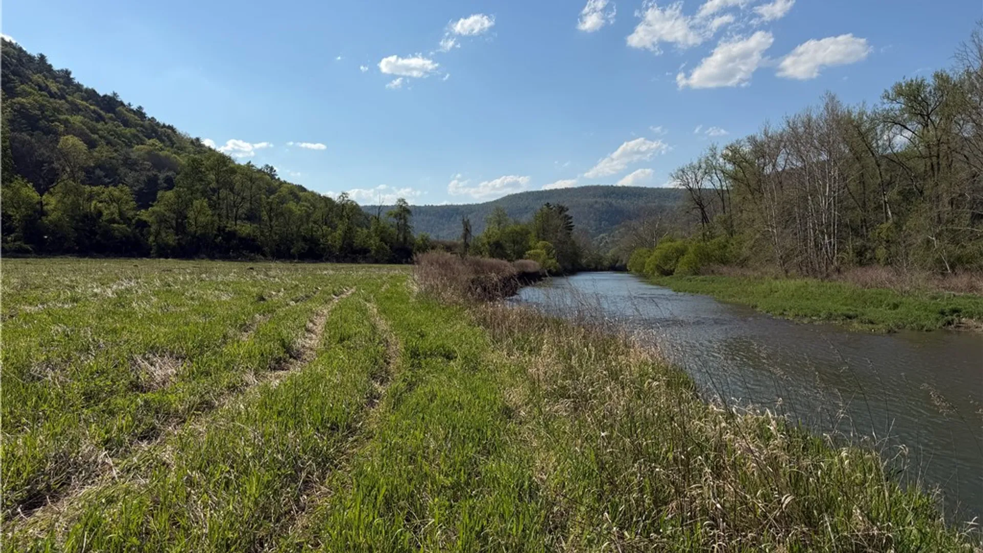 Property at Lot 3 McChesney Rd, Canisteo, NY 14819 8